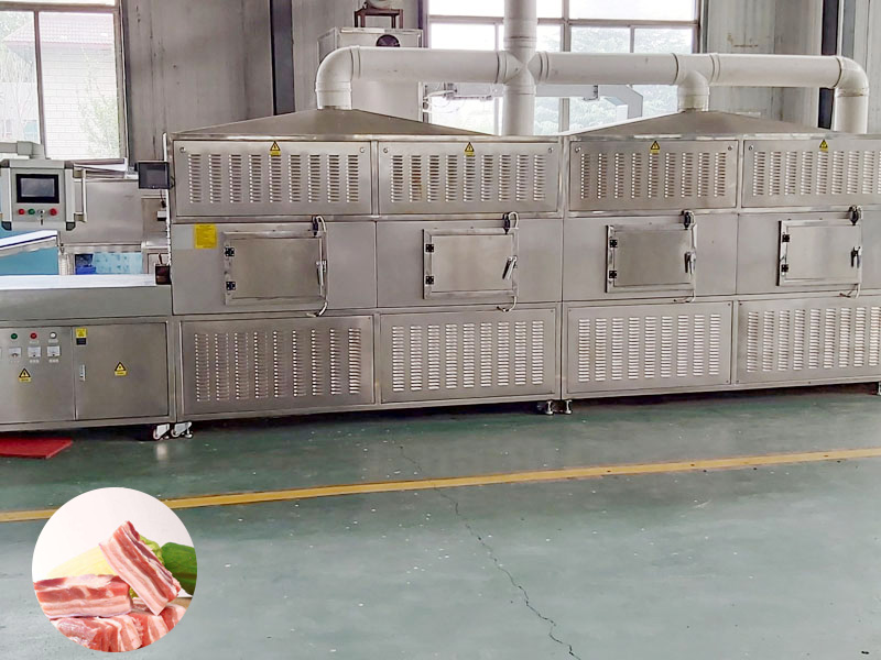肉制品微波解凍設備